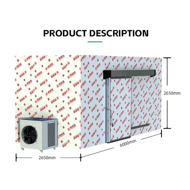 Profesjonalna, komercyjna susz – Home Kitchen & Bathroom recenzja i cena